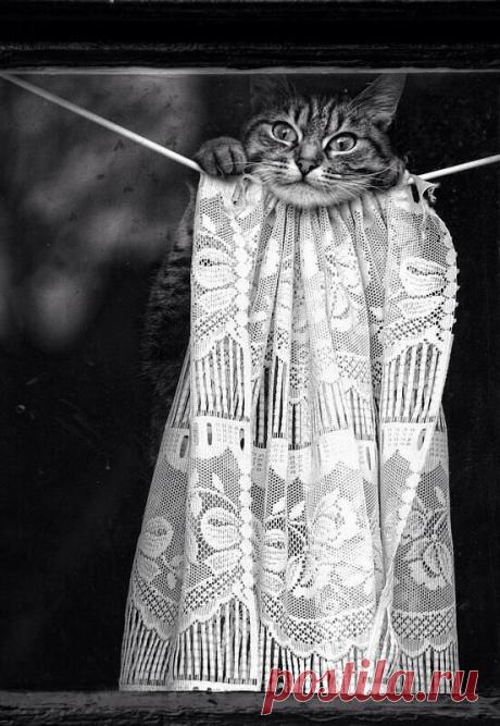 не звони мне, Бетти