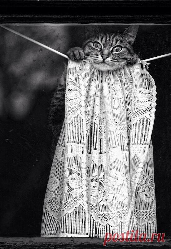 не звони мне, Бетти