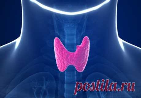 5 hábitos que alteran tu tiroides - Mejor Con Salud