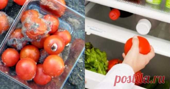 Хранение продуктов в холодильнике | Карельские вести