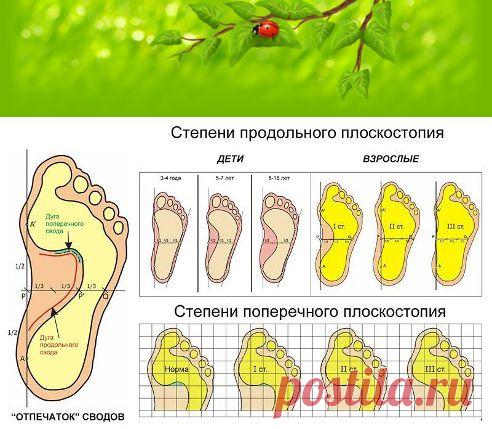 Одноклассники
