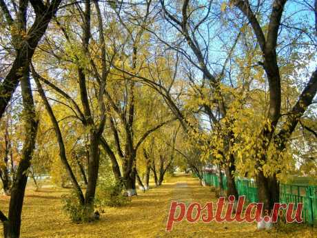 Заводоуковск
Ольга Степанова (Карпова)