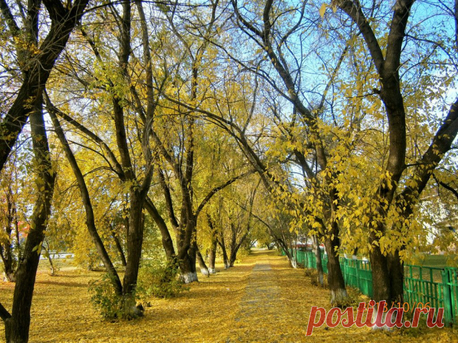 Заводоуковск
Ольга Степанова (Карпова)