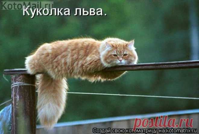 Куколка