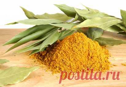 ЖЕНСКИЙ МИР