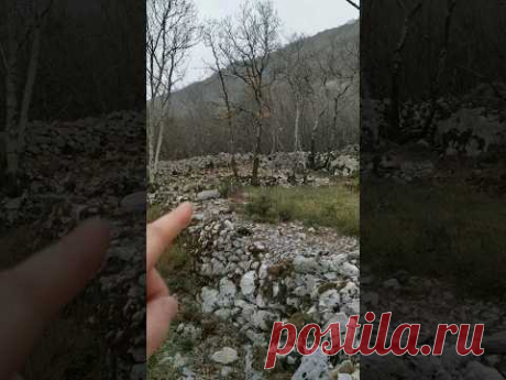 #обработка земли #укладка камня под ограды #история #старина