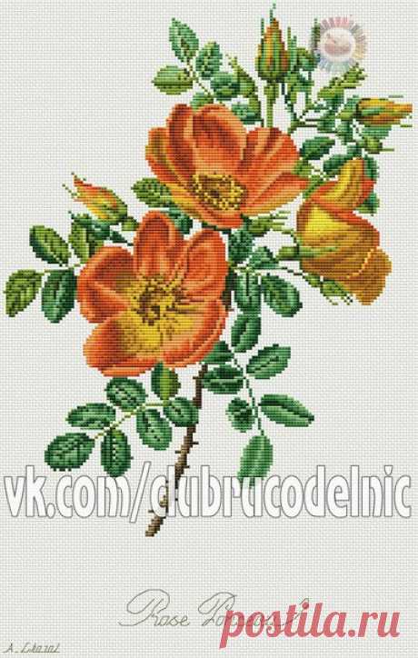 Поиск новостей по запросу #clubrucodelnic