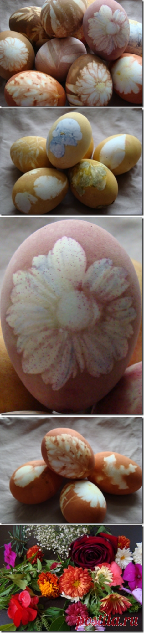 Цветочная роспись пасхальных яиц / KNITLY.com - блог о рукоделии, мастерклассы