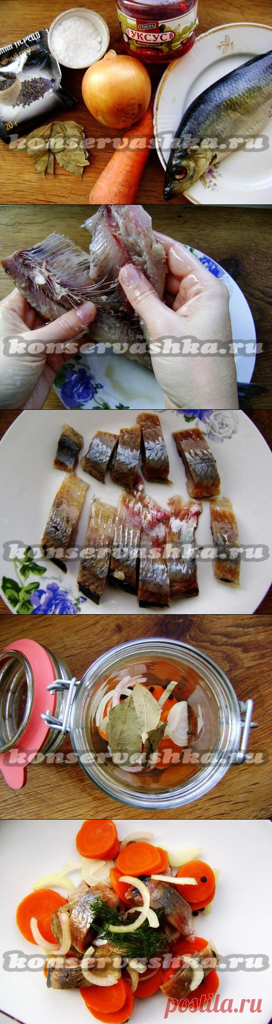 Селедка по-голландски. Безумно вкусно | Заготовки на зиму