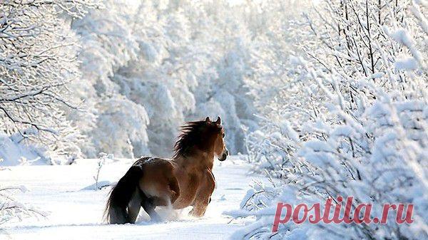 Зимние пейзажи! - Общение для Души - Группы Мой Мир