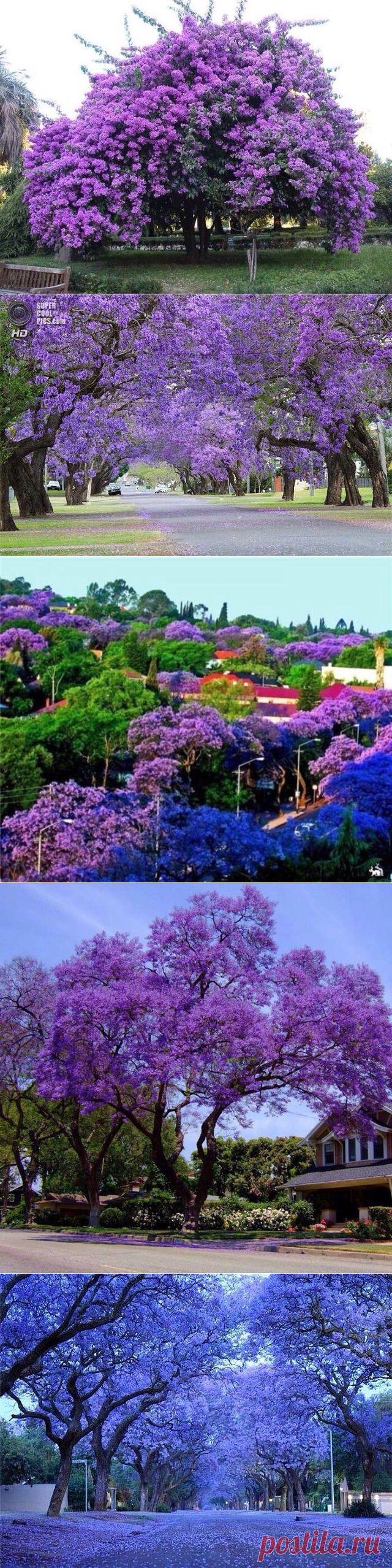 (67) Одноклассники