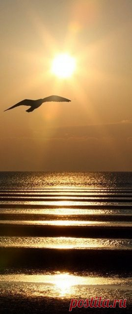 Sunrise |Pinterest