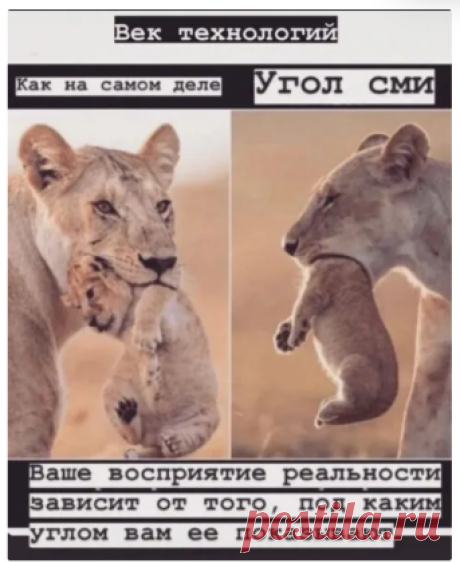 (8) Одноклассники