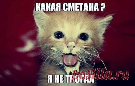 ну как тебе не стыдно... врунишка...