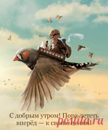 'смешной открытка доброе утро - Поиск в Google
