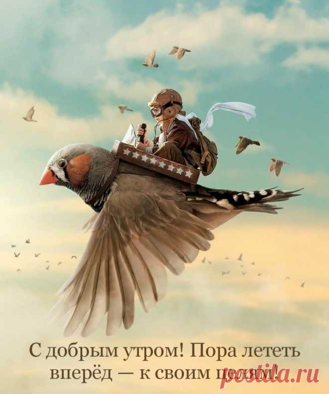 'смешной открытка доброе утро - Поиск в Google