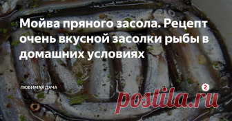 Мойва пряного засола. Рецепт очень вкусной засолки рыбы в домашних условиях Рыба довольно часто попадает в рацион. В основном это магазинная селёдка. Существует засоленная рыба в разы вкуснее селёдки. Плюс в том, что её можно приготовить своими руками.
Засоленная по технологии мойва содержит массу полезных для организма веществ. В особенности полезно есть засоленную мойву с ржаным хлебом и свежим укропом. Пряное филе добавляется в паштеты и салаты. Если подавать мойву цел