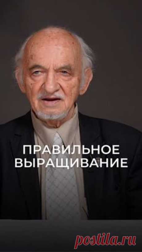 Владимир Дадали про Протеин и Креатин
