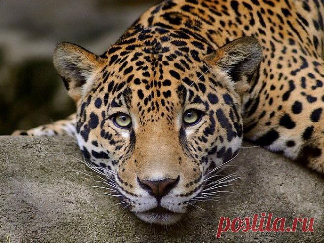 Фотографии на стене сообщества | 19 484 фотографии