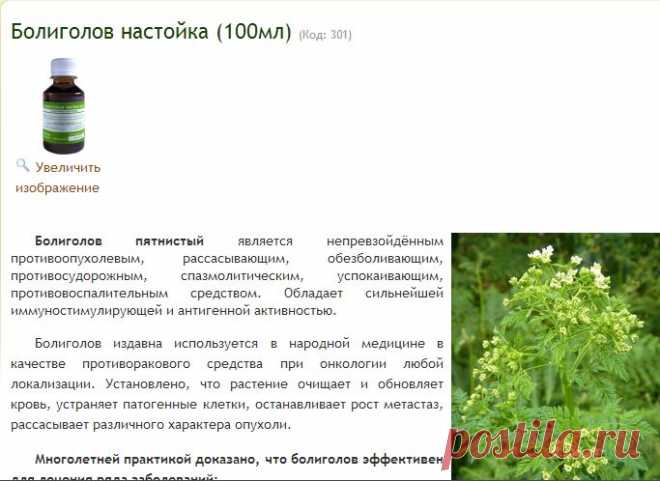 ЛечатТравы: Болиголов настойка (100мл) - Приобрести