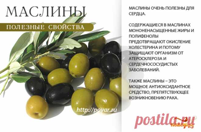 Маслины полезные свойства