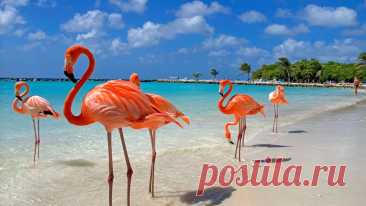 Отдых на Карибах Туризм - Журнал полезных советов