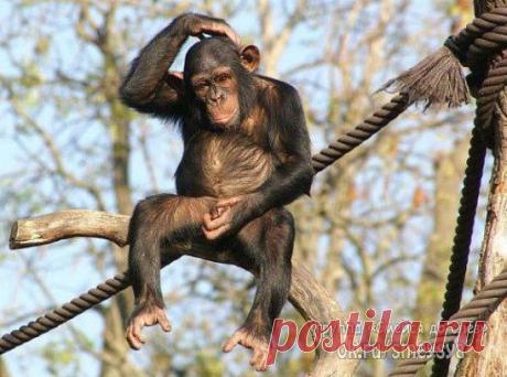 Не работаешь - жить не на что. Работаешь - жить некогда...