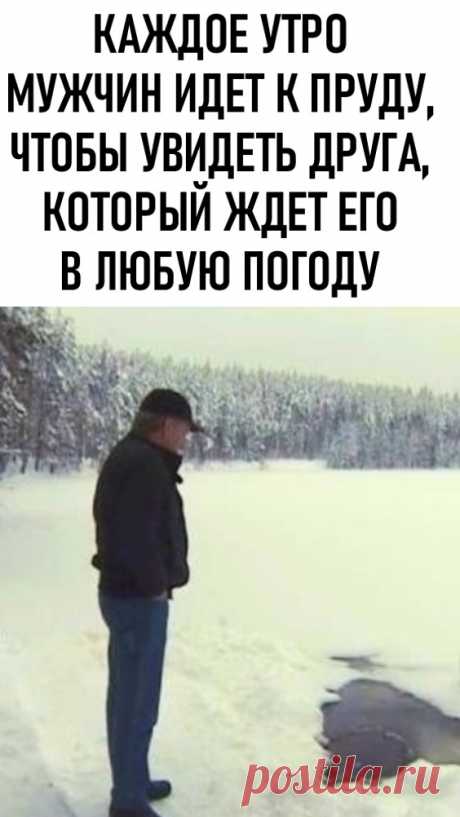 Каждое утро мужчина идет к пруду, чтобы увидеть друга, который ждет его в любую погоду