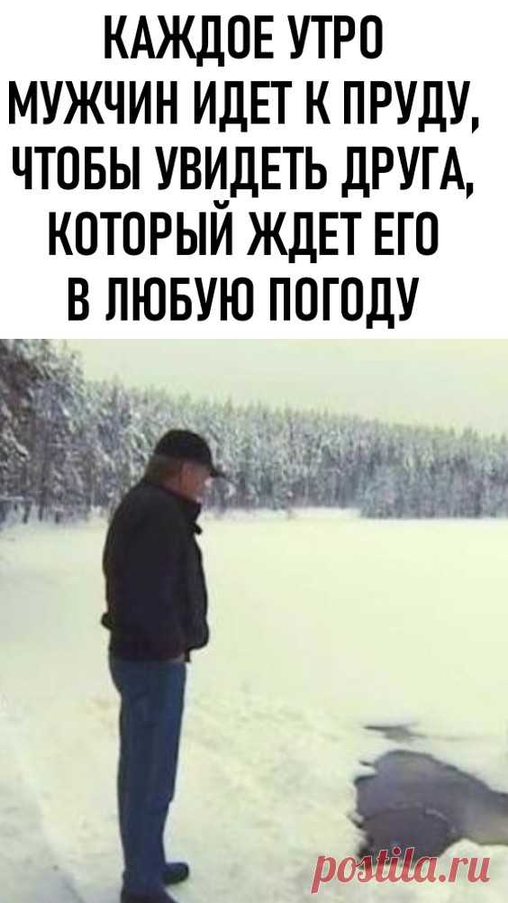 Каждое утро мужчина идет к пруду, чтобы увидеть друга, который ждет его в любую погоду