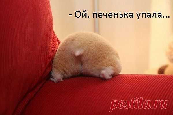 когда мне запрещают что-то делать,хочется сделать это в двойне.