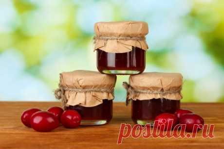 Повидло из кизила без косточек — Сад Заготовка