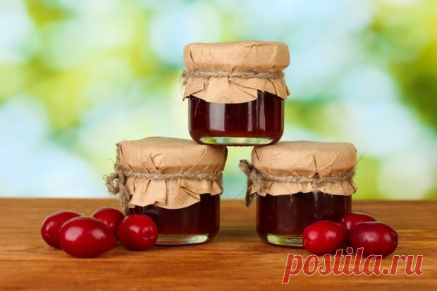 Повидло из кизила без косточек — Сад Заготовка