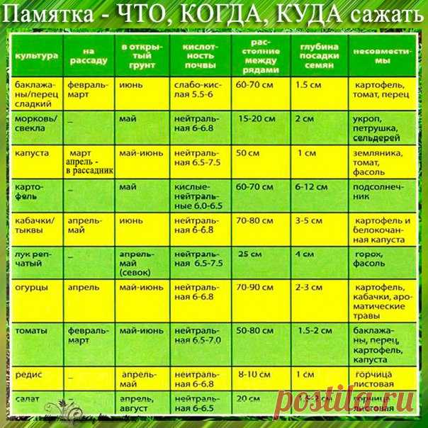 Что когда сажать ?