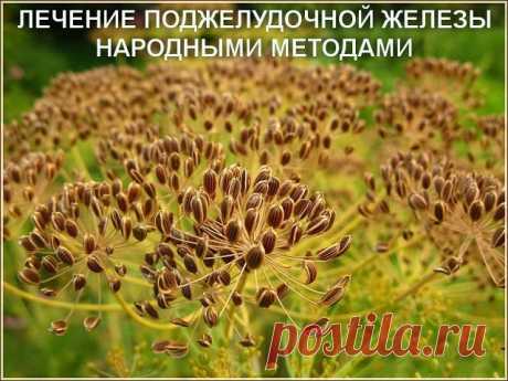 (99) Одноклассники