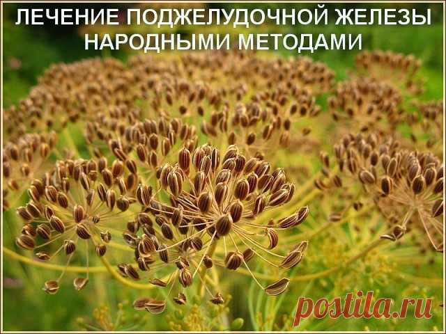 (99) Одноклассники