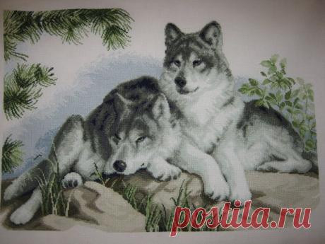 Вышивка волки схема. Схемы вышивок крестом хищники | Я Хозяйка