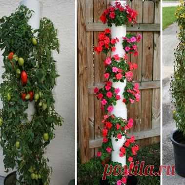 Вячеслав Богданов – Google+ - Вертикальный плантатор Вот шаг за шагом руководство о том,…