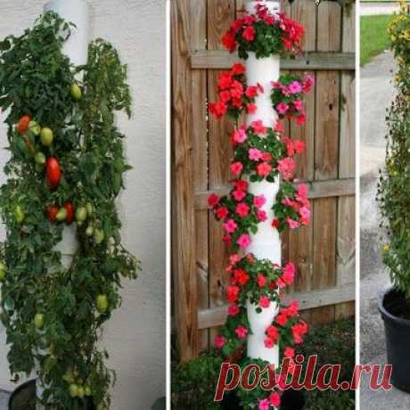 Вячеслав Богданов – Google+ - Вертикальный плантатор Вот шаг за шагом руководство о том,…