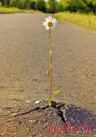 Философия | Психология | Саморазвитие | Группы Мой Мир