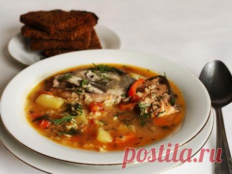 Рыбный суп с рисом / Простые рецепты