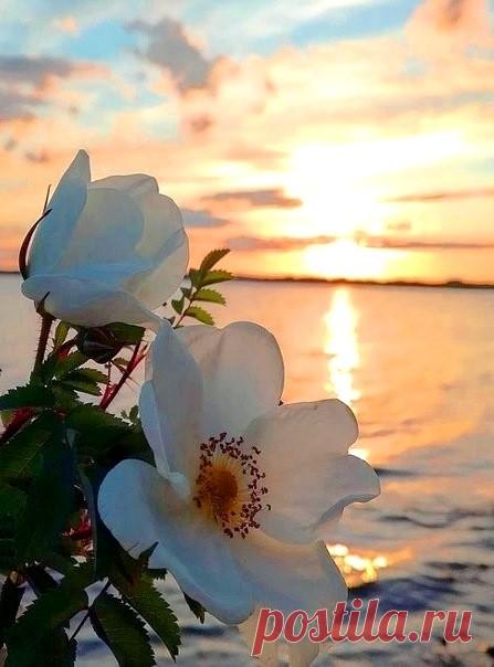 Пусть то, что сегодня было твоей мечтой, завтра станет частью жизни.Самое главное ваше сокровище — это мир в душе. Пусть так будет у каждого. Дайте Волю своим Мечтам, пусть Вас несут они по ЖИЗНИ...
Самых дорогих нам людей мы носим постоянно с собой. Мысленно. Внутри. В сердце.❤