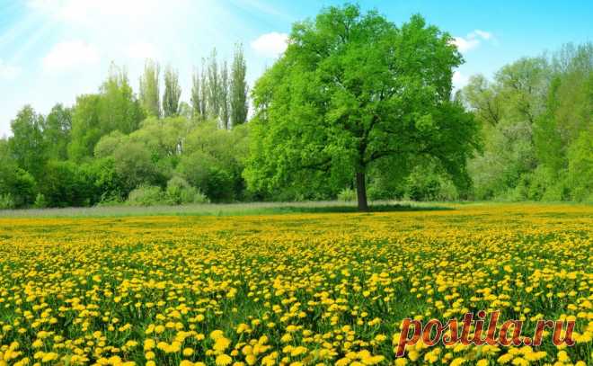 4K Summer Wallpapers High Quality | Download Free