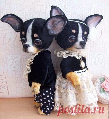 Купить Чихуахуа тедди Шарль и Шарлотта - чихуахуа, чихуа, тедди, друзья тедди, тедди в подарок