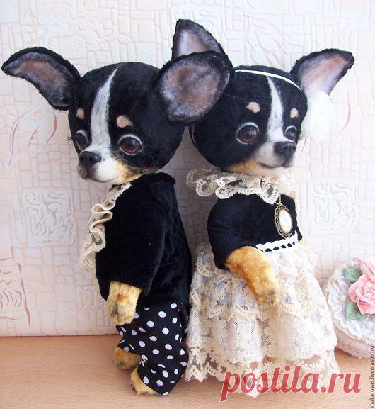 Купить Чихуахуа тедди Шарль и Шарлотта - чихуахуа, чихуа, тедди, друзья тедди, тедди в подарок