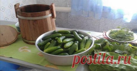 Как закатывать огурцы на зиму? 3 совершенно новых способа, от которых ты будешь в восторге!