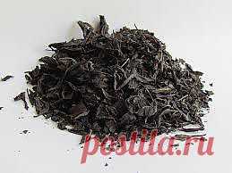 иван_чай_полезные_свойства | Рецепты народной медицины