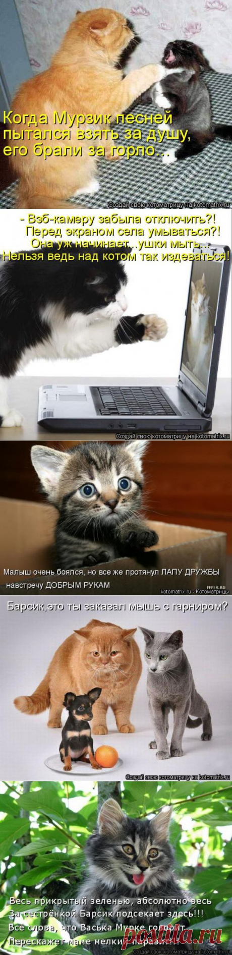 Круглый стол (котоматрица)