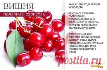 Вишня полезные свойства