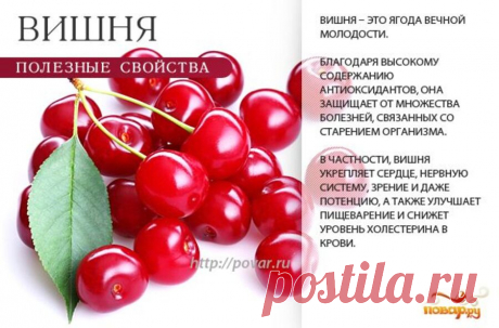 Вишня полезные свойства