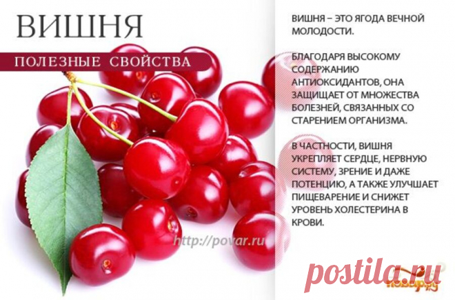 Вишня полезные свойства